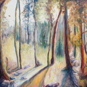 Tree Shadows #1
