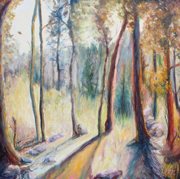 Tree Shadows #1