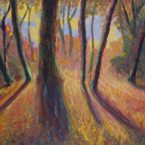 Tree Shadows #2