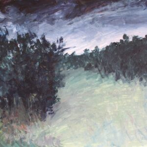 Stormy Forrest
