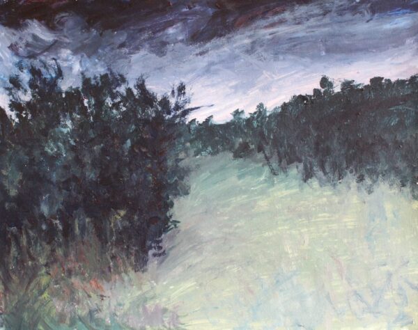 Stormy Forrest