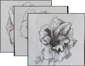 Prints/Illustrations