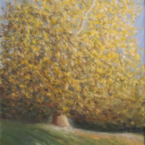 Autumn tree